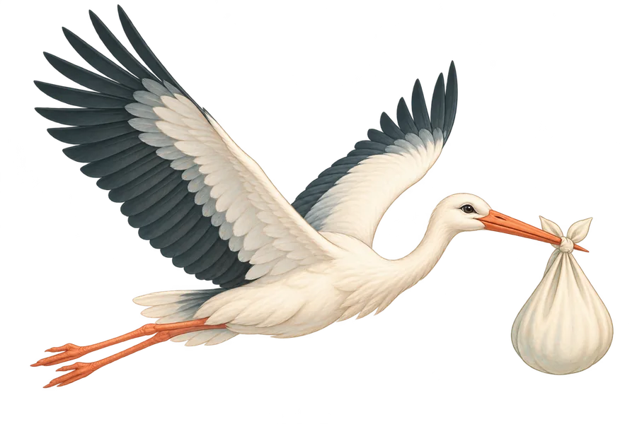 En stork flyver med en stofpose